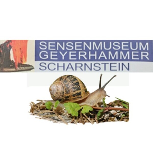 Logo vom Sensenmuseum Geyerhammer und eine Schnecke mit Schneckenhaus in der Wiese