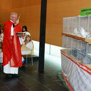 Fest des Hl. Franz von Assisi