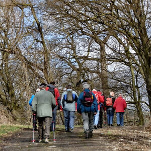 KMB-Frühlingswanderung