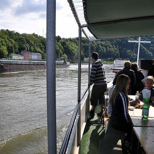 Firmprojekt Hochbeet