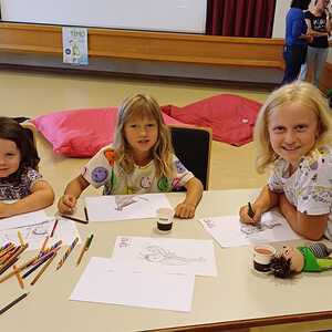 'Timo, ein Käfer mit sieben Punkten'