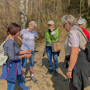 Heilsame Kräuter mit Silvia Buchegger