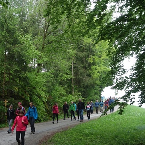 Pilgerwanderung 2019