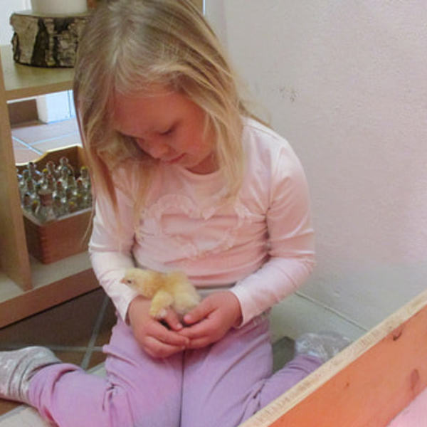 Projekt im März und April 2019