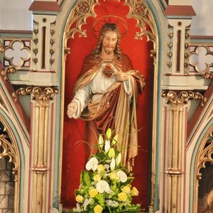 Bezirksgoldhaubentreffen 2013 