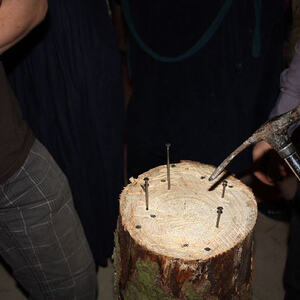 Almrausch am Froschberg