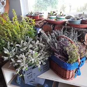 Kräutersegnung 2024