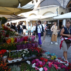Padua Piazza Della Frutta