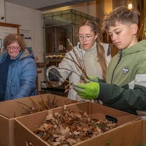 Palmbuschenbinden Pfarre Kirchdorf an der Krems