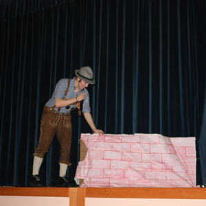 Almrausch am Froschberg