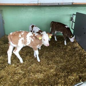 Ministranten-Wanderung