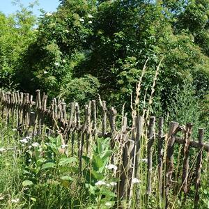 Caritas-Pilgerwanderung bei Kaiserwetter