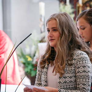 firmung pfarre sarleinsbach