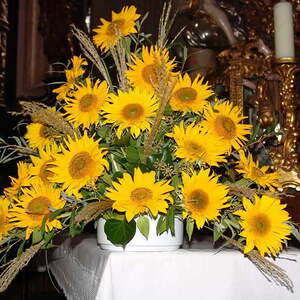 Erntedankfest Kirche Maria Schauersberg 2014