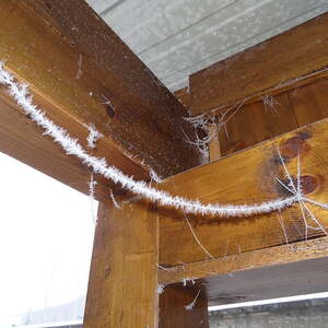 Girlanden beim Müllhäuschen 3                               