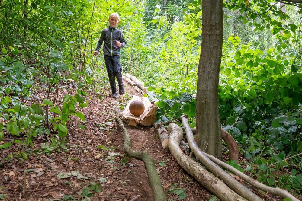 Bau einer Waldkugelbahn