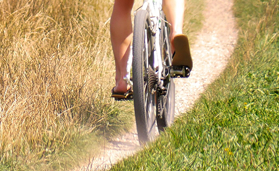 Das Leben nimmt wieder Fahrt auf