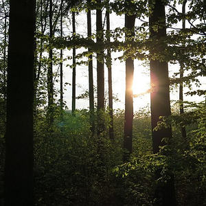 Emmausgang Ostermontag