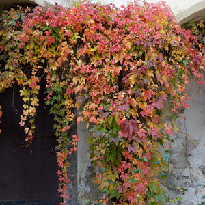 KMB Münichholz auf den Spuren der Reformation