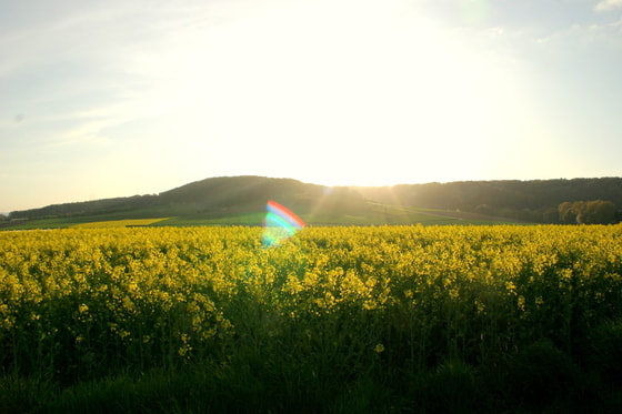 © dieraecherin/morguefile.com