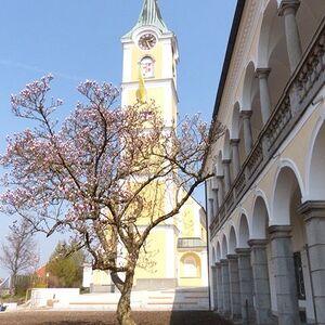 Pfarrhoferöffnung 2013