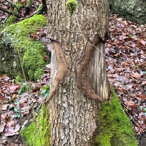 Start Fastenbegleiter-Lehrgang 2023 Bad Mühllacken