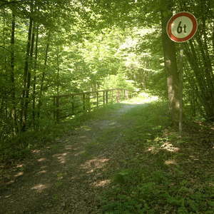 jährliche Fußwallfahrt von Untergriesbach nach Büchlberg