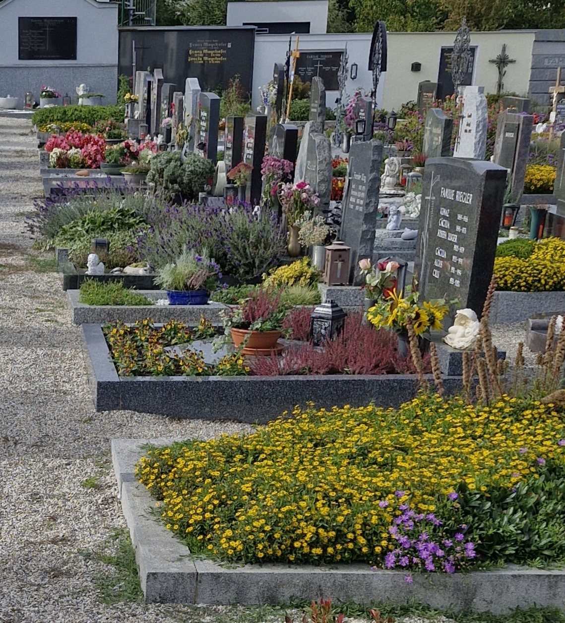 Friedhof