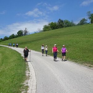 Ybbsitz-Panorama-Höhenweg                                       