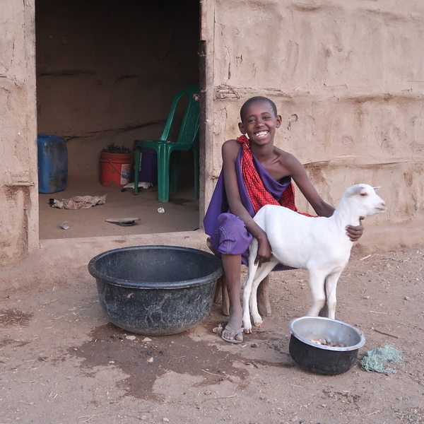 TV-Tipp zum Sternsingen 2026                            