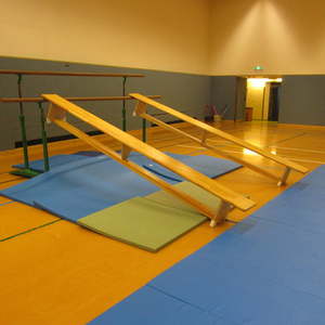 Turnen in Jahnschule