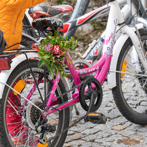 Palmsonntag in der Pfarre Kirchdorf an der Krems