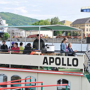 Firmprojekt Hochbeet