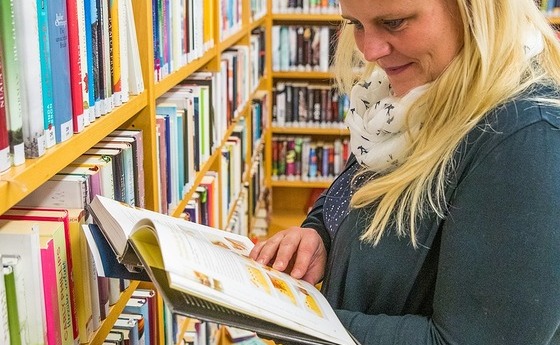 Pixabay/Hermann Kollinger