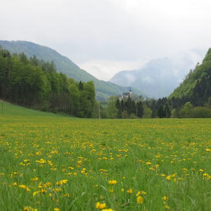 Pilgern Schlierbach-Klaus