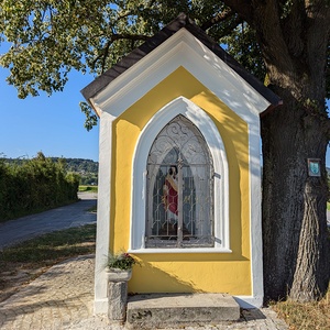 Sie erstrahlt in neuem Glanz