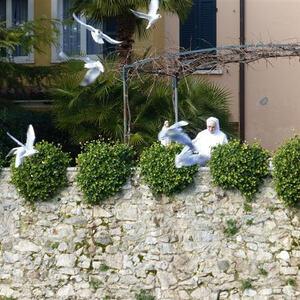 Pilgerfahrt nach Assisi vom 17. - 21. Februar 2014