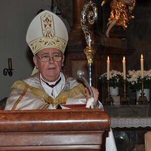 Pfarrvisitation 2011 durch Bischof Dr. Ludwig Schwarz