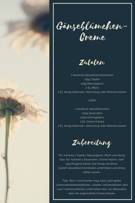 Gänseblümchen-Creme