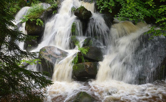 Erde, Wasser, Leben...