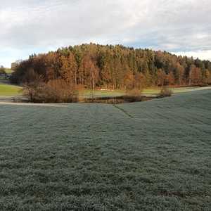Blick zum Scherlweiher