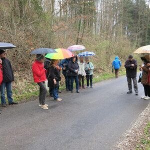 Kreuzweg am Schiltenberg