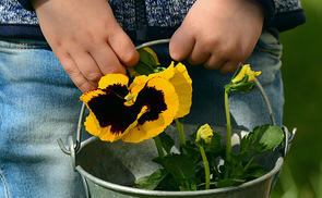 © congerdesign/pixabay.com/CC0 1.0