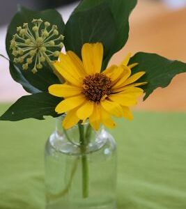 Erntedank- und Pfarrfest 2022