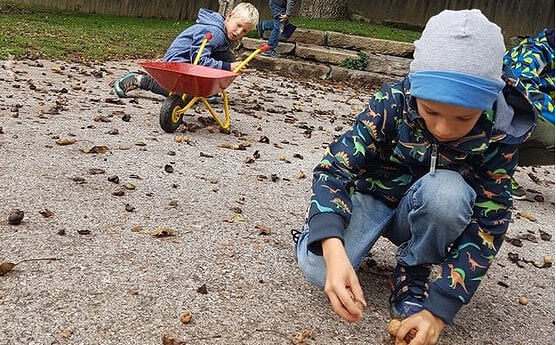 Artikel auf der Homepage des Hort