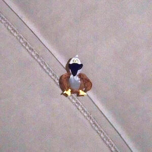 ... und über allem schwebt das Adlerkind.