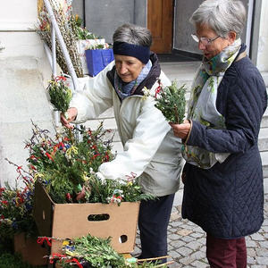 Palmsonntag in St. Quirinus