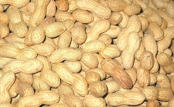 Erdnüsse vom Nikolo