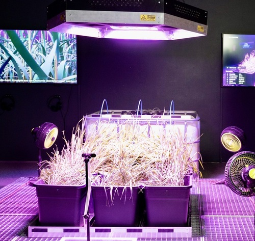 Planet B / AEC Planet B