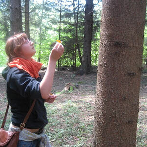 Jungscharlager 2008